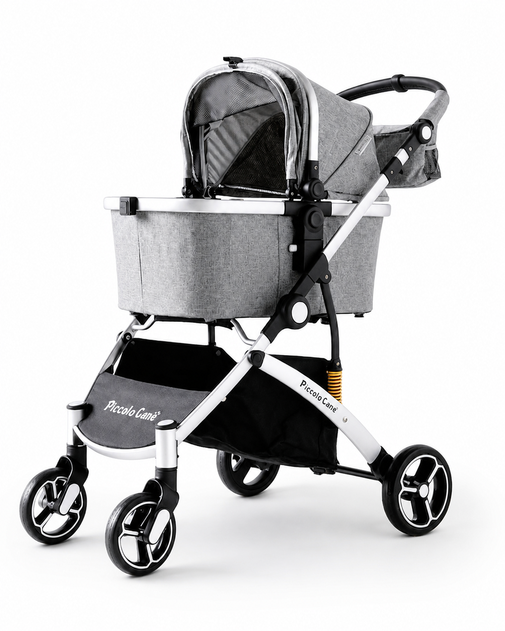 【リニューアル　2026年9月下旬入荷予定】CARINOα カリーノアルファ