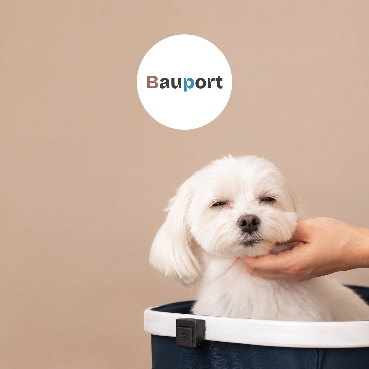 Bauport